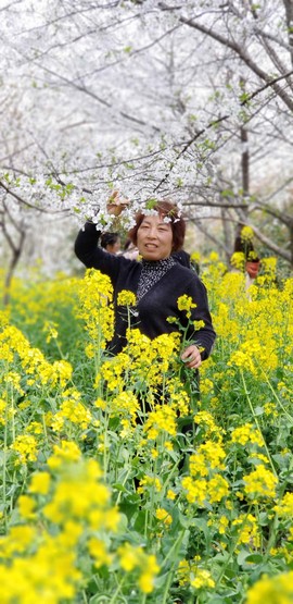 G1NX0Ir6T9dHZZJpLsHV3CG8RuDhX9dMCKbtwvtXRV9dLCyPXqdQi_cbCEmK2FIO