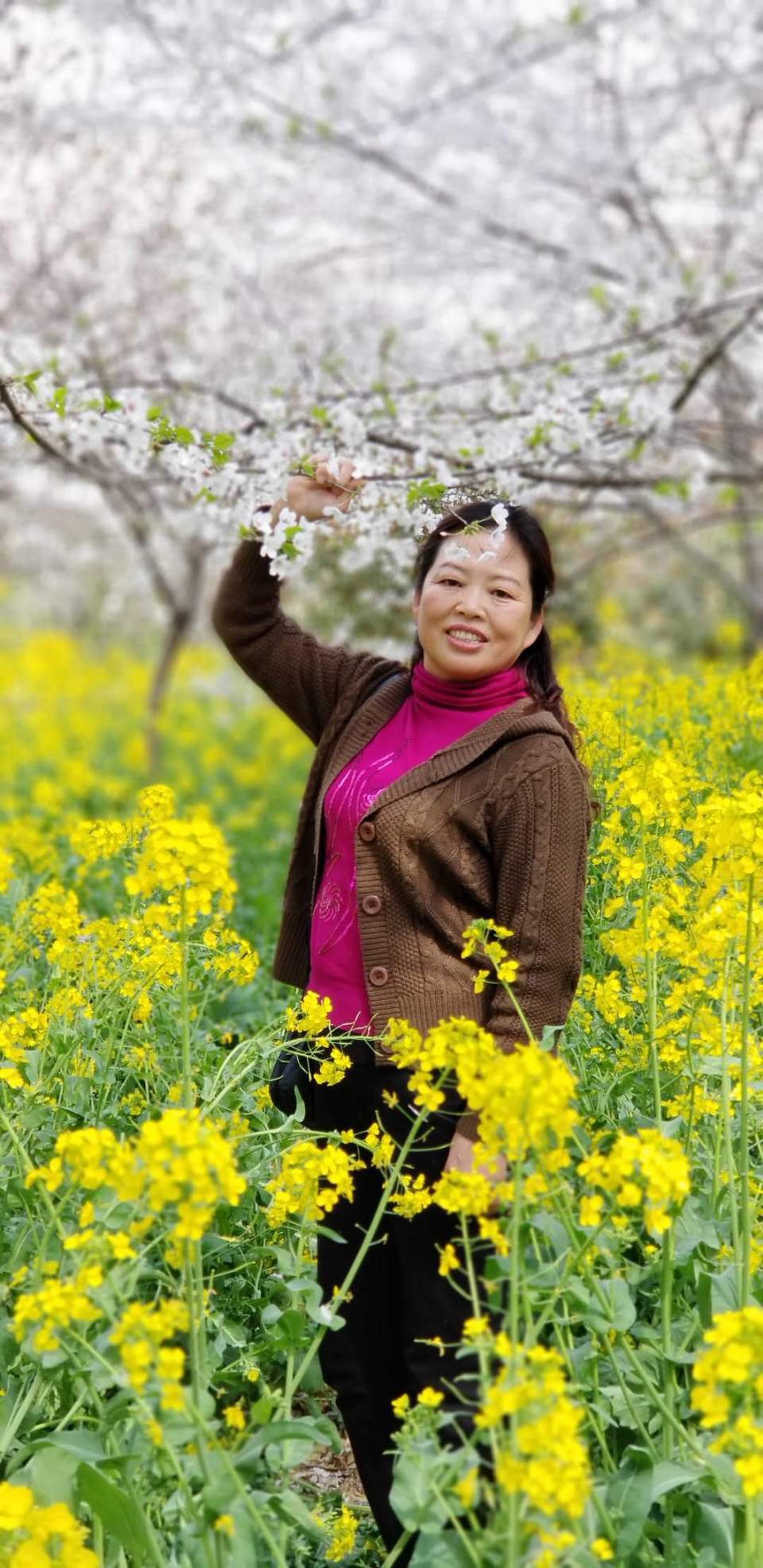 ZdcWaEtlYbbBay2stl1dZhyVpHYqxW21q42nceq4H3nfqZjS3GrppO-dT4OCRWL8