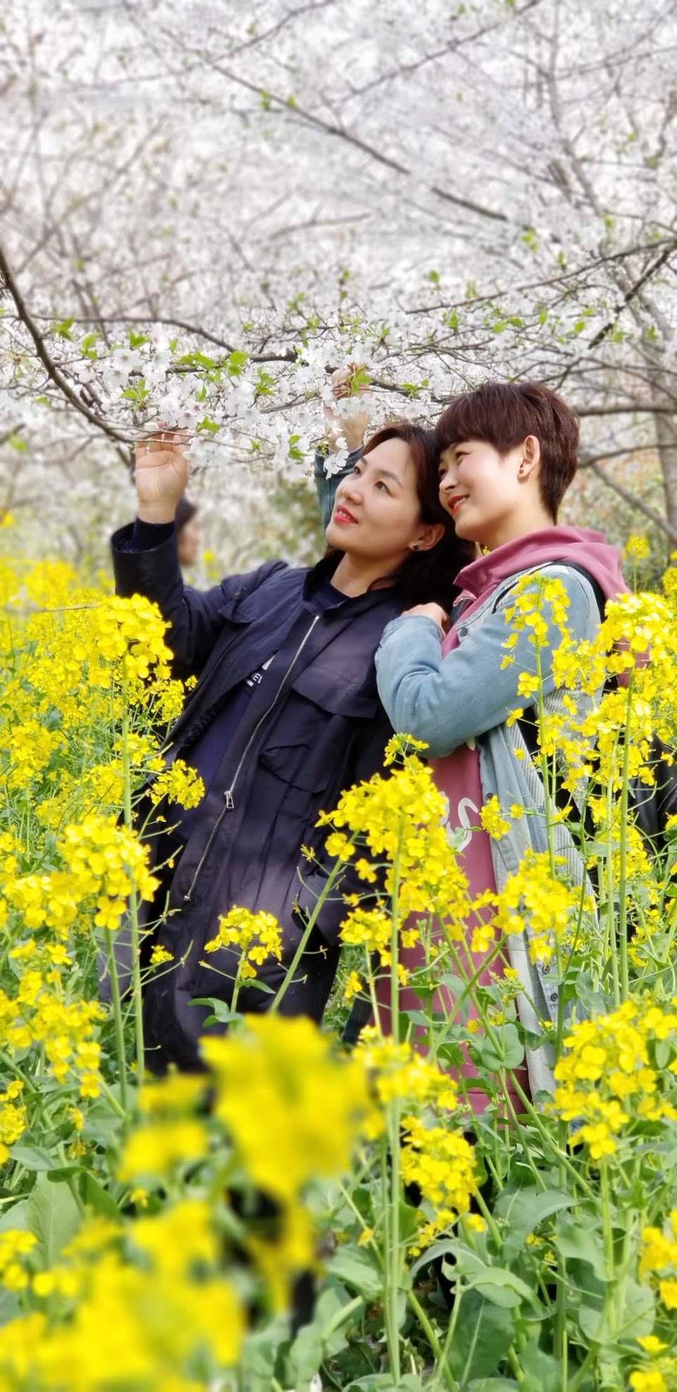 F0q5HaZfnJ-HognYSvOQY2BjjbqPAWxarNMI8yP1SDZCyyVknR27qJs3oZfdCTbO