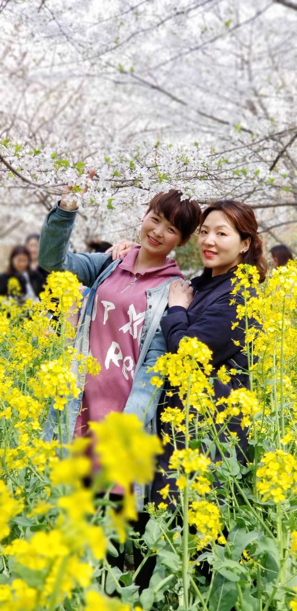 0Cf0YfhRzWoSWTcTspPSjJVa0p32OEbCCc1mA9k1YGRX3GEXTNjT_uzdApu8WLhz