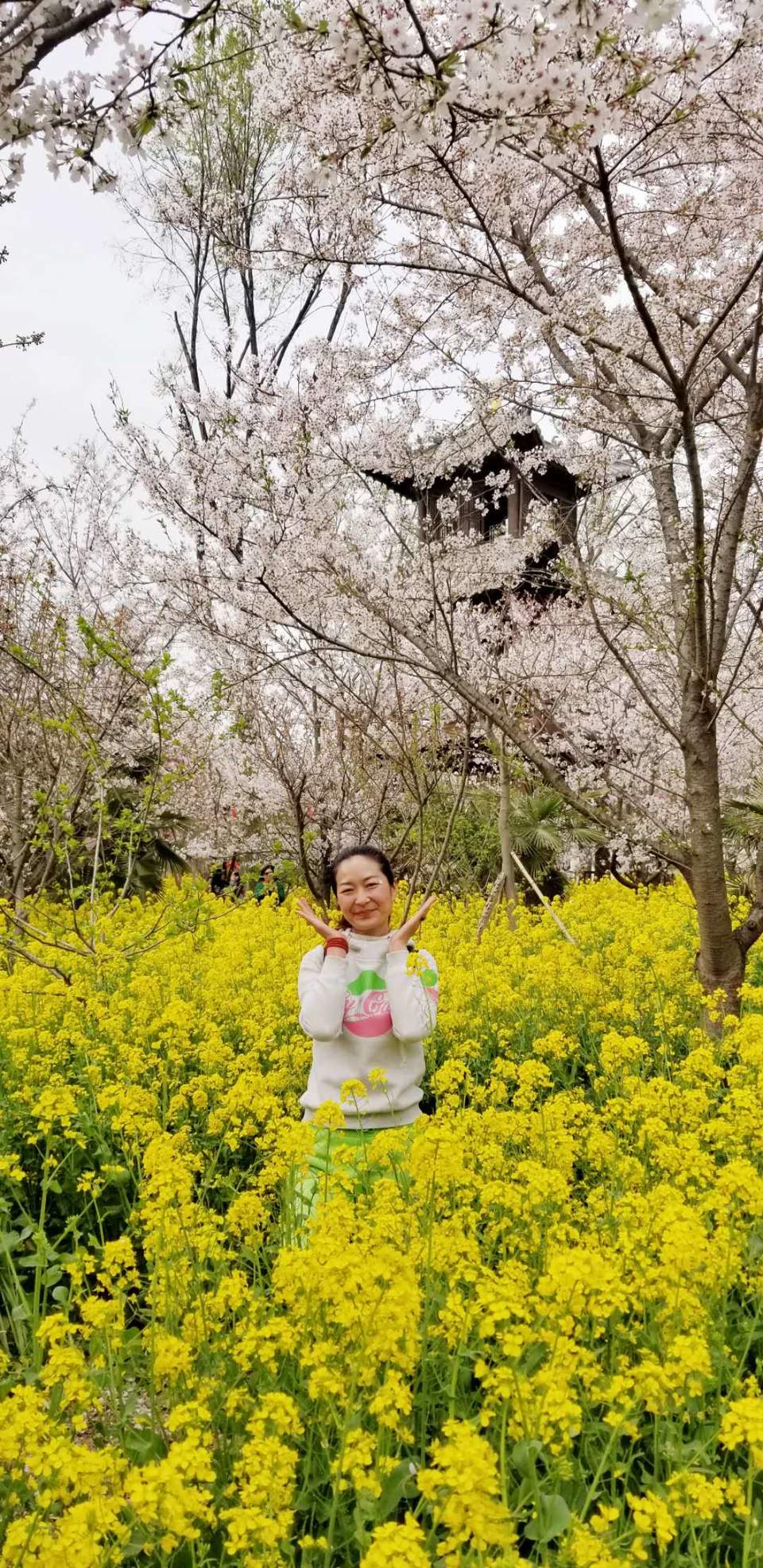 N7Azz3pHLcYaKFC-rSKxkQNQBzerLoFrrdRkeiypN2Nx4-iVxh65W9lAGFDpWFM4