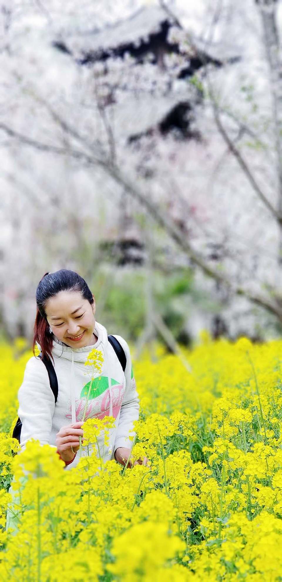 gAMcvmj0c35wMAEJtmFFhwo_5pHa61s2Sji8FFxkHwuZYBfQ8nNqWkHWS-jS3fel