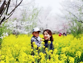 sMIsX32514MzY9e2ttqGPhv9cjnjQdbovBdhMy0Ns6K1HQcpRmm8kwV8J1I0PDU2