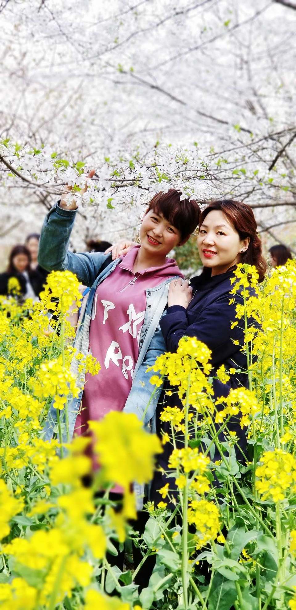 mSi7mPlsTITqFS4d1zdOMSTdZyh9EmqJfQoPux4nxg11pzkUaiQYAsMRzmnbiNUg