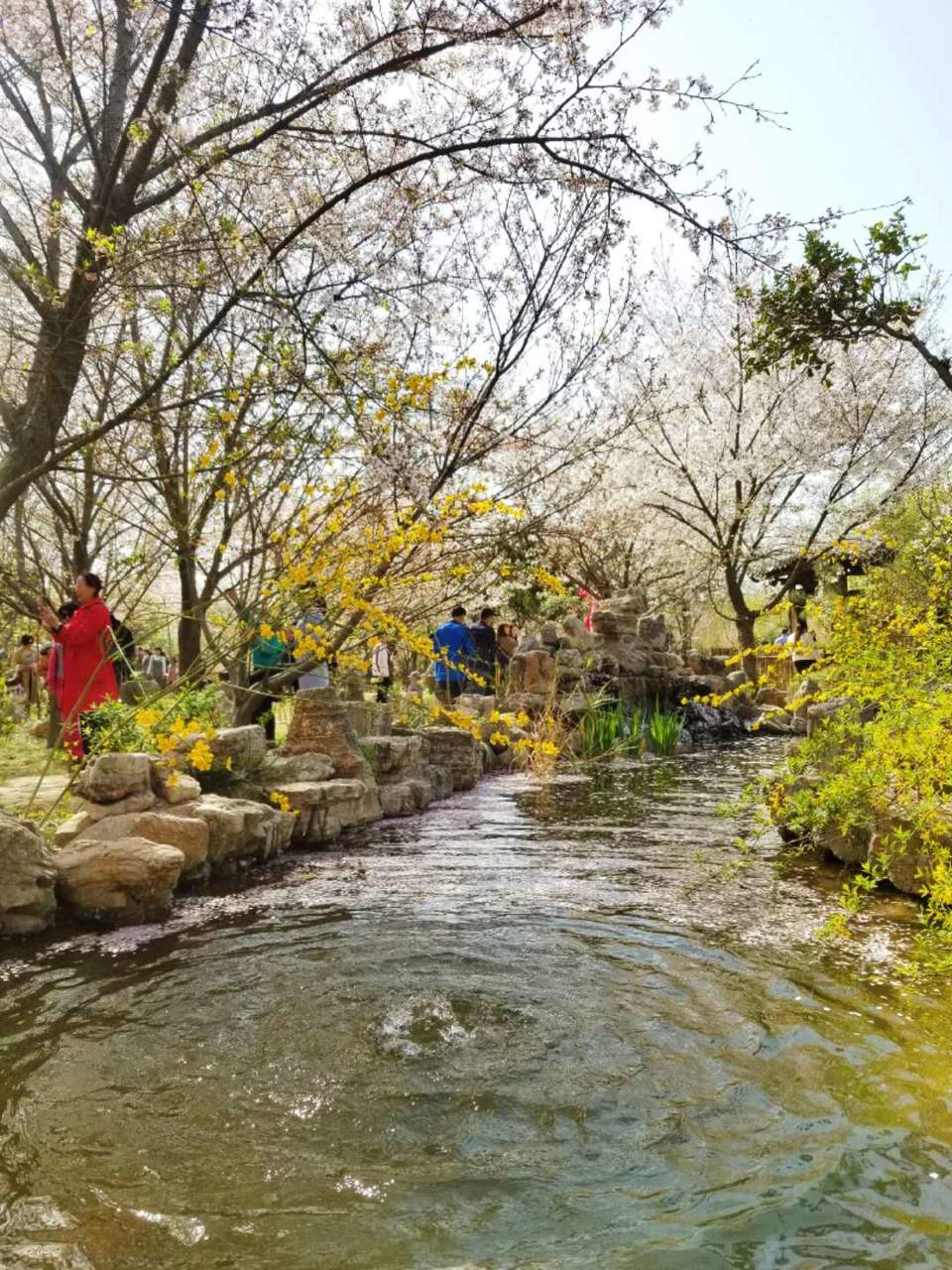 Sw_VfiZXVdVX_cnb4TOWXBVk57GZt7PoW-ouLvE4qGsKGiIP8k6icHewkHqqsa4C