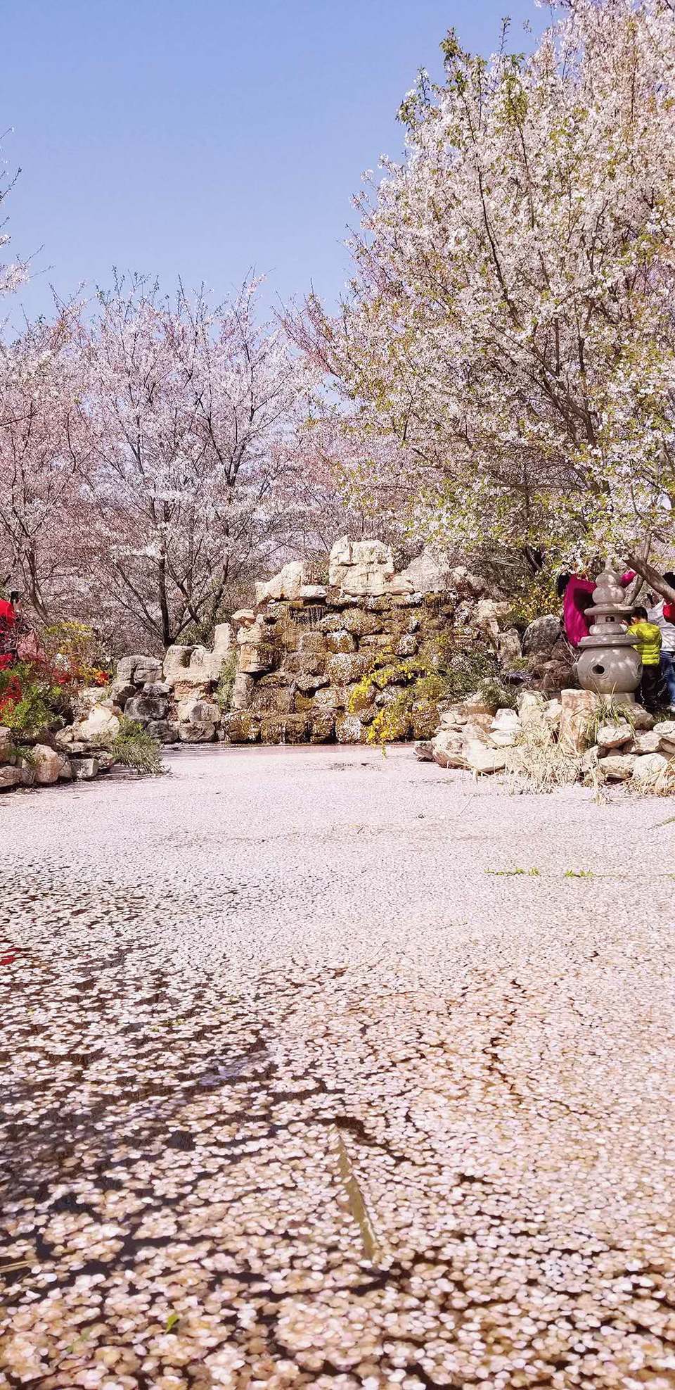 aCLIYwQrPREryOYVYfhzPG5mjkKTRkCpESFZR-n3_2EpxiU3D_wAS47WEB10m3vv