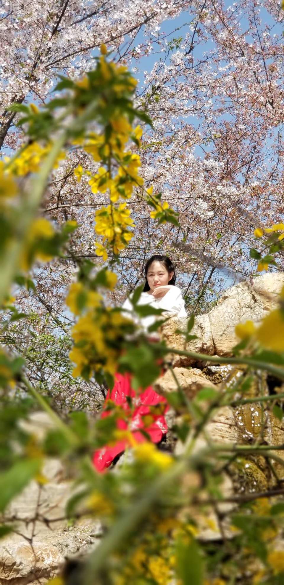 IMOPO7CX_VyGQHCKOLgTStLFJtOr55u93ugqXU4haUORQMpUgdZKkbKGFQd6qjYr