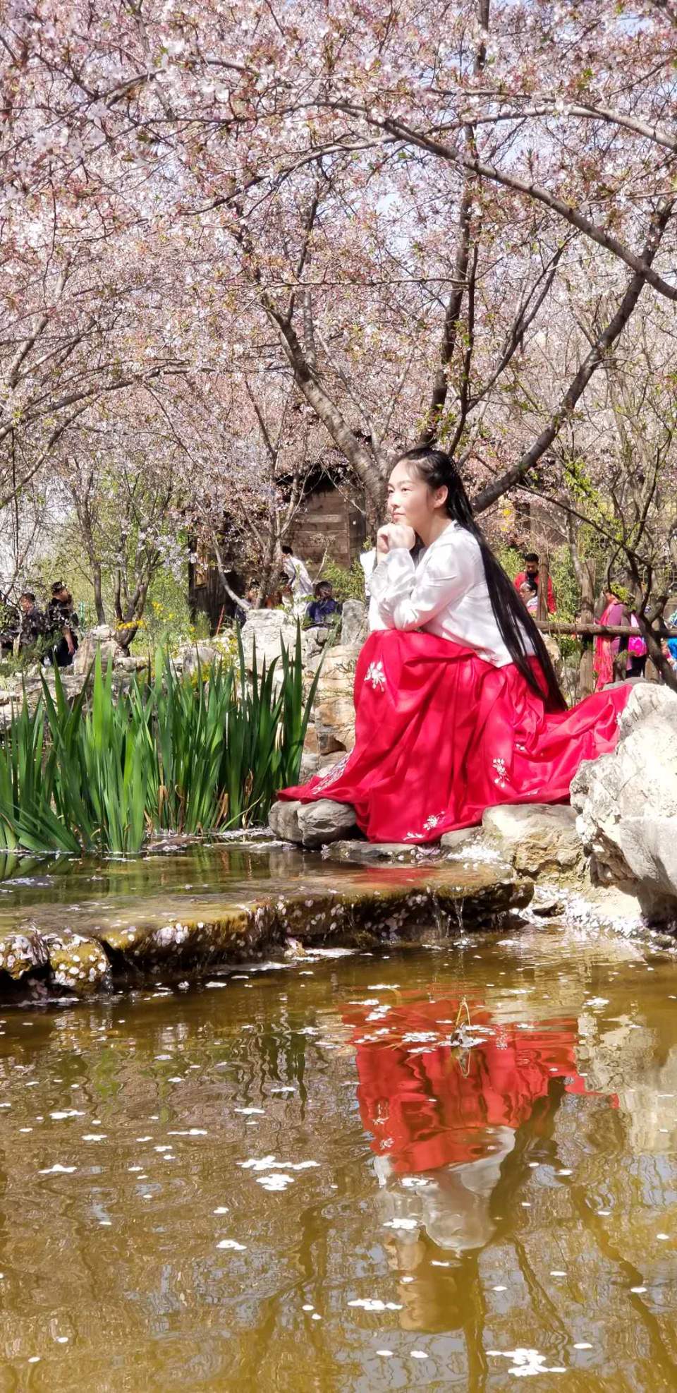 uEW5mguIJyT_FxU70sTfRAKFWBRUOLUjYCmROk_KtqFQPP-sZHCmDUikdNLMLw9g