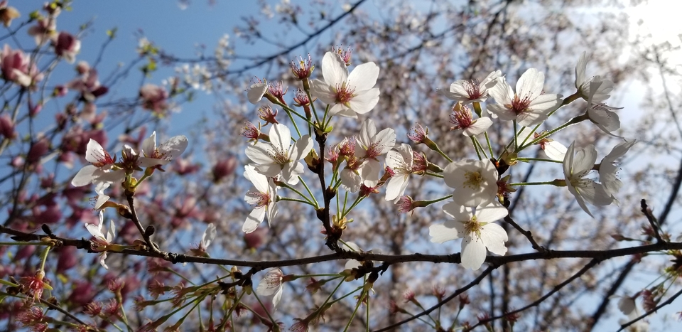 tB6jh0cp3z2LaavpqV11mpYIC4UI-_DL9K0xJUNzOr8-WvxBQ1vrxIAwLQ2oPGrk