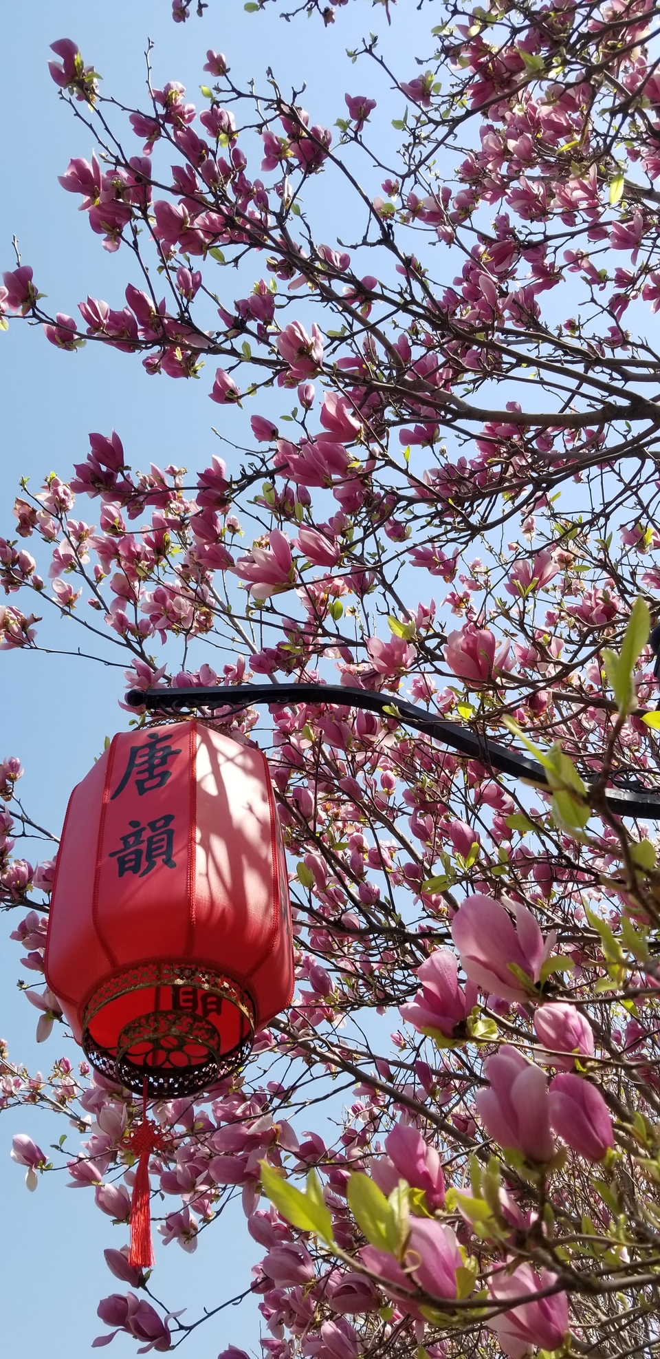 vtQnxWiUszJHx6hhAdEs9_hEjKNU6jV5lldcVtIRVeZAhb_OBHFwSB6tf29qbfu0