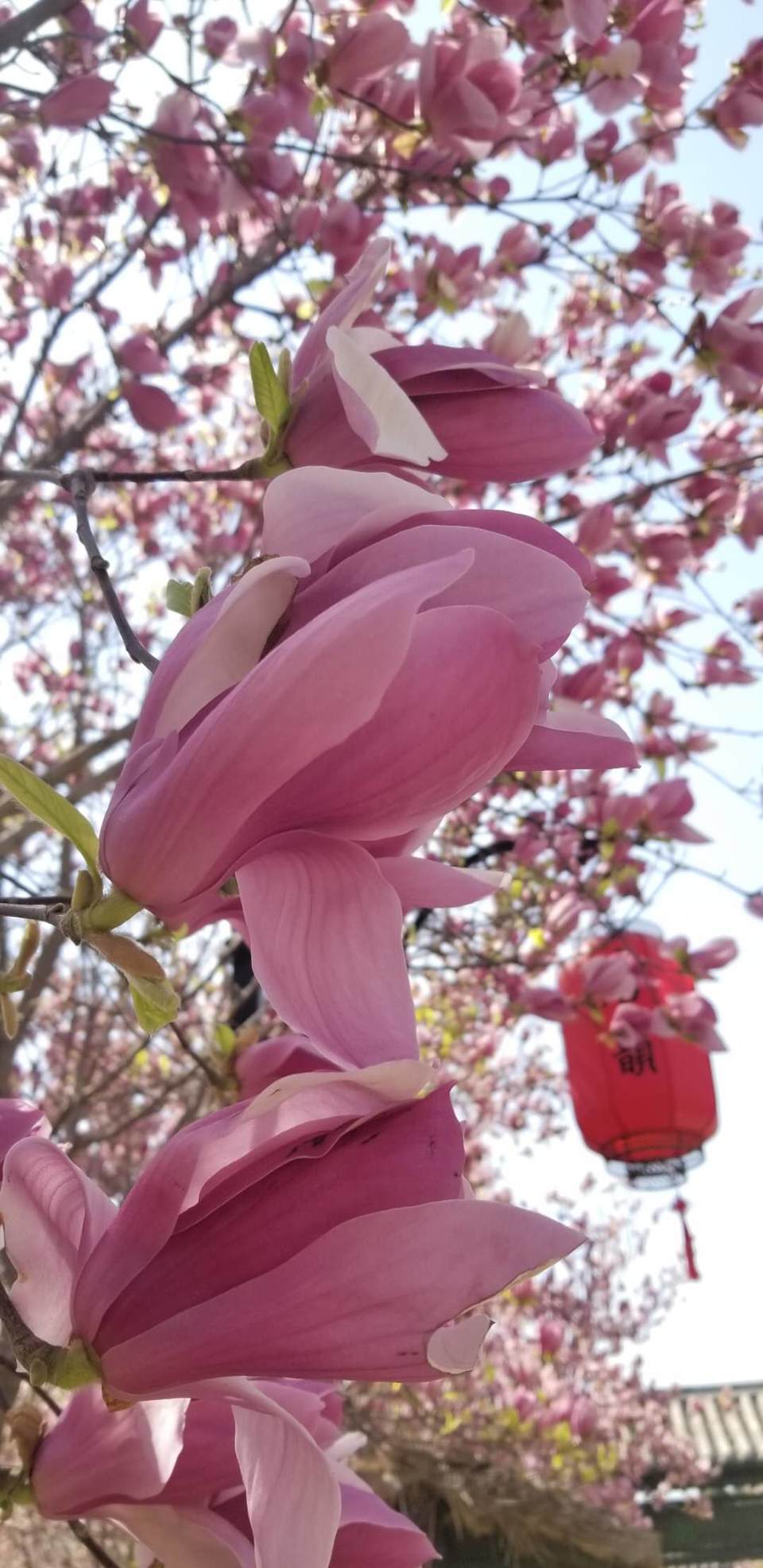 gKKFmwYnGSVAOVoneheC6njF-cZvhD7retgindpnSjq35HBRyOS8mARHypZ7BcTG