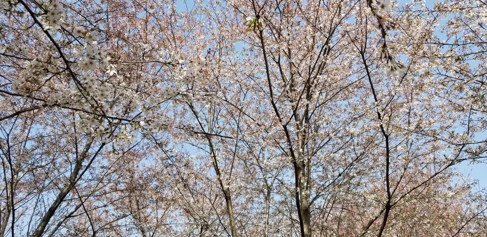 ESCV0HPhkDVTRuT0T-y9JF95JlSV2D9ni7vG3Cj7IvIQWvpphMXcULP_xjn7amjl