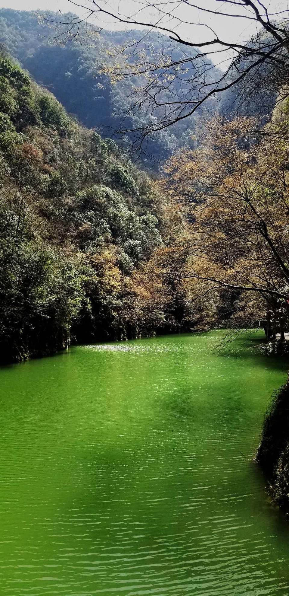 -E-9qCJY-FbibPltfKhDvz9y7ivbTlRwzBN5edIE7NUwncoVY5_xsD4iZxkXW6iI