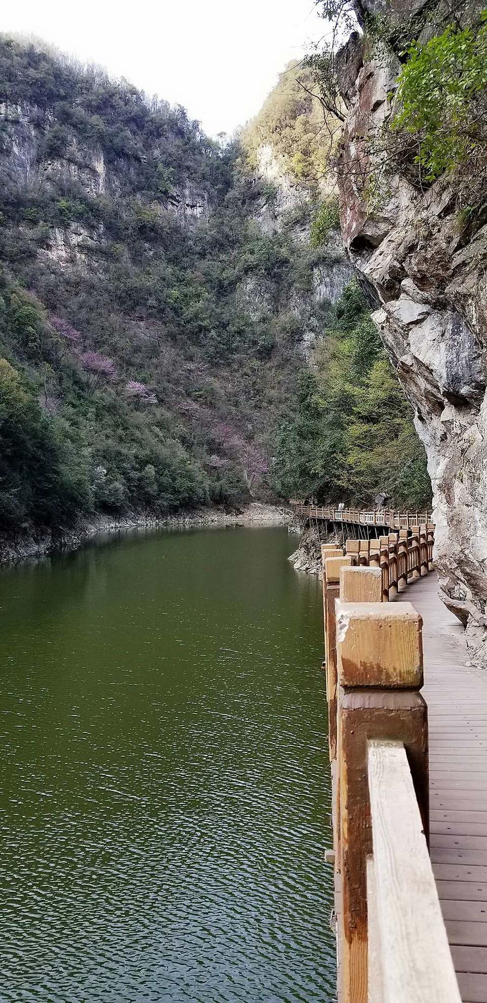 3nNBjrE-irKZI0_C86HvZQiK_ZGU_RoZhfJN05O_iiPbjwFpxAFPaWYbVBL4D2uN