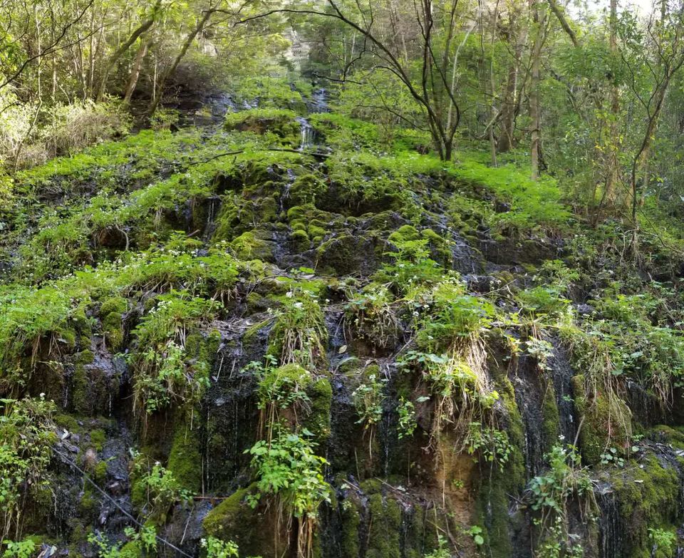 i6gZg4P2OZLjKqWwKQYTFBICRsvHuwBMdNKjTDNZyW3nH119lWcalz0_OqHZj6LZ