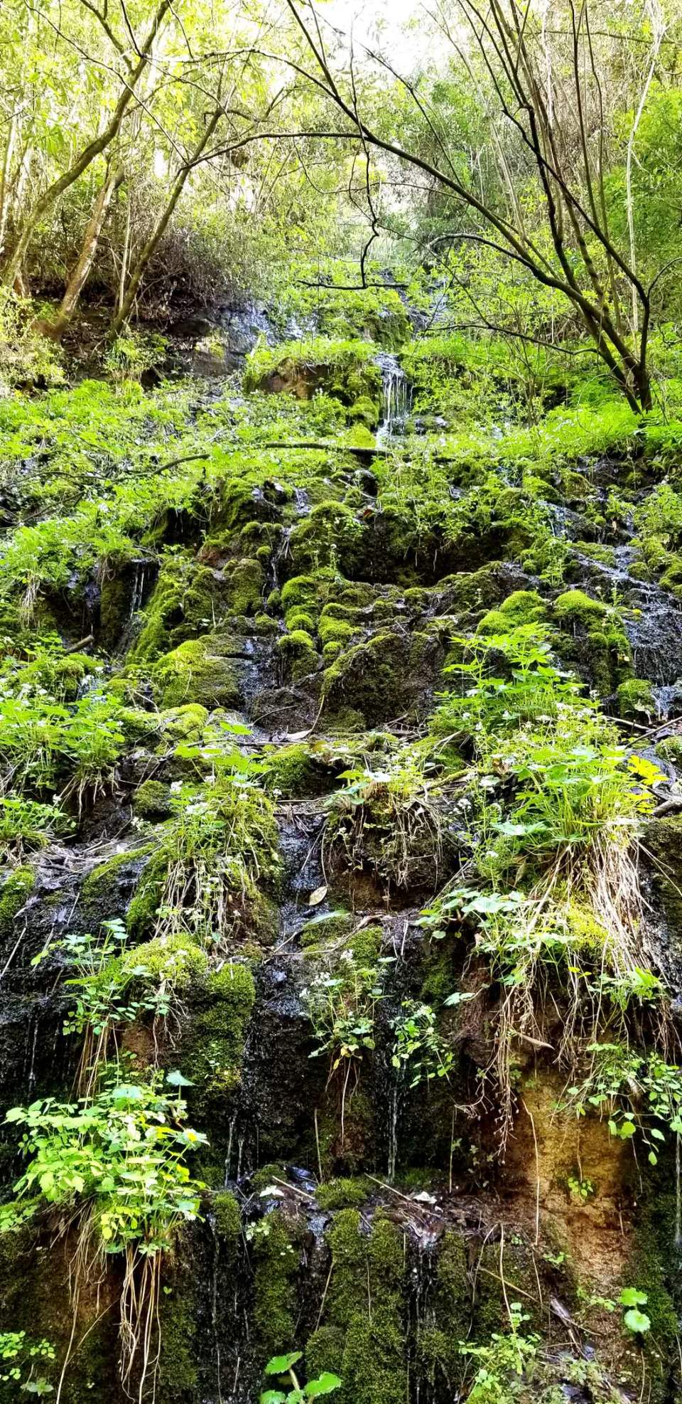 gq23ID1--IumtwwzrlH5Fcf6sz8WnL_sahHNNYWfqb0WWMNcIVcNo0PGBFfydV1Q