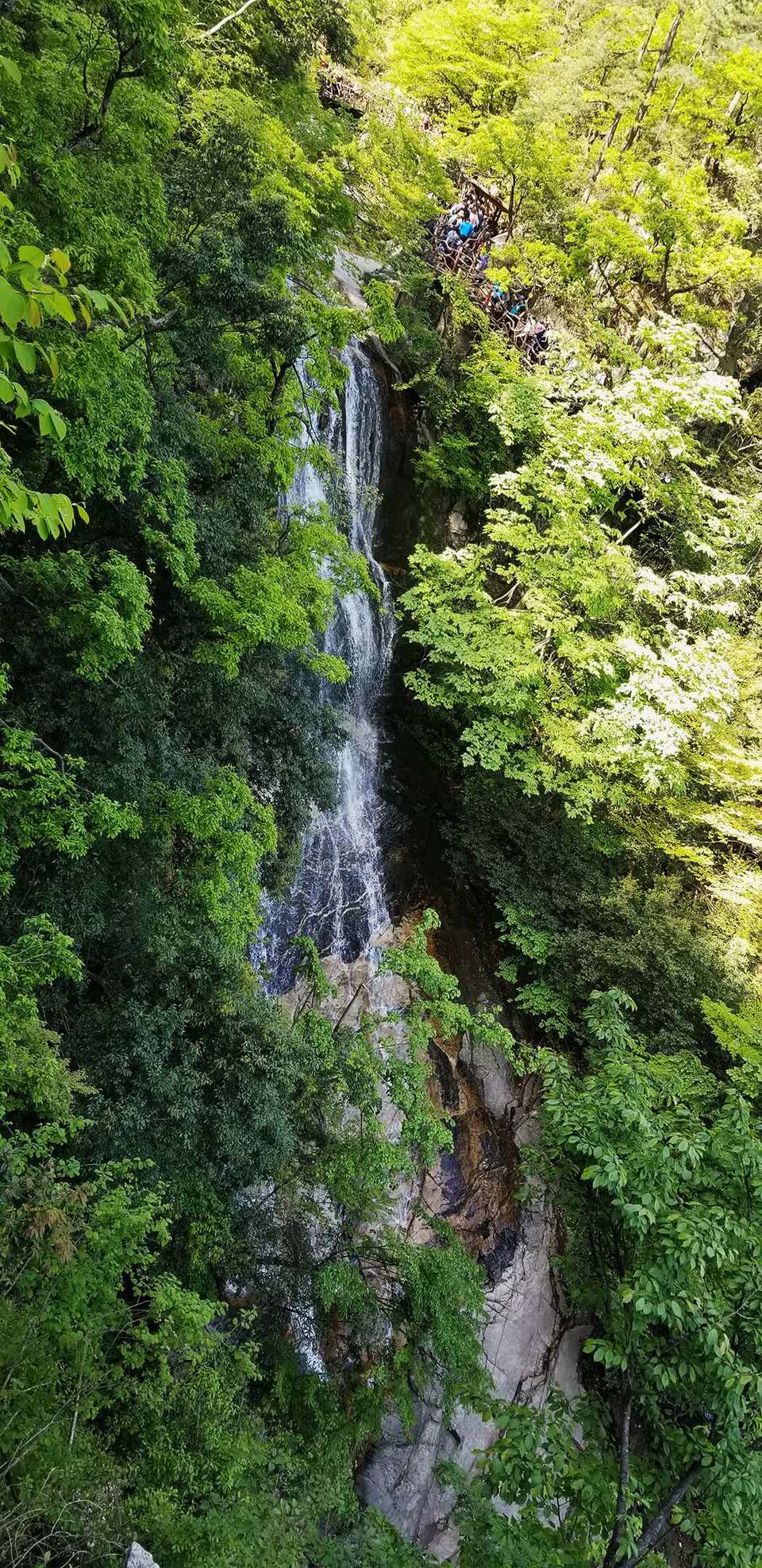 sFIcZILpZaLMsZE5pZ4VINTQPR6oStzGsQnGUb0EyhswgijB3o-ke489tj2CLpSN