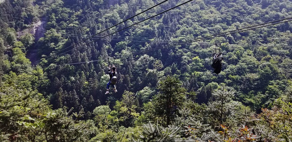 bN6Y_dJl1CJ8yhvCKVrZsSVxQhwRkYeUzhENbdjweOs049zU44svCZTRD2MfF9tI