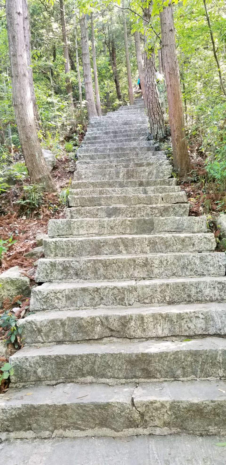 FlurAJt73W8Terp8-ducAxqvHZurMC57NW1mx1eLMMdGLB_DCO2IPgq5Eus68py1