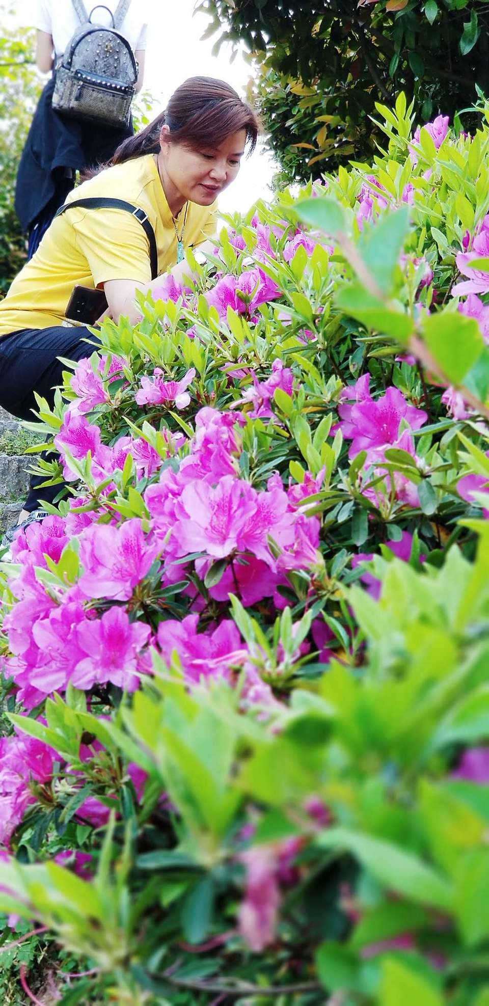 su4Ilm2XlTcj93tjbeaCVahZH-q_qBQWXaxPg1zn1sh9BILa1_GR-oMF9eM8pyLT