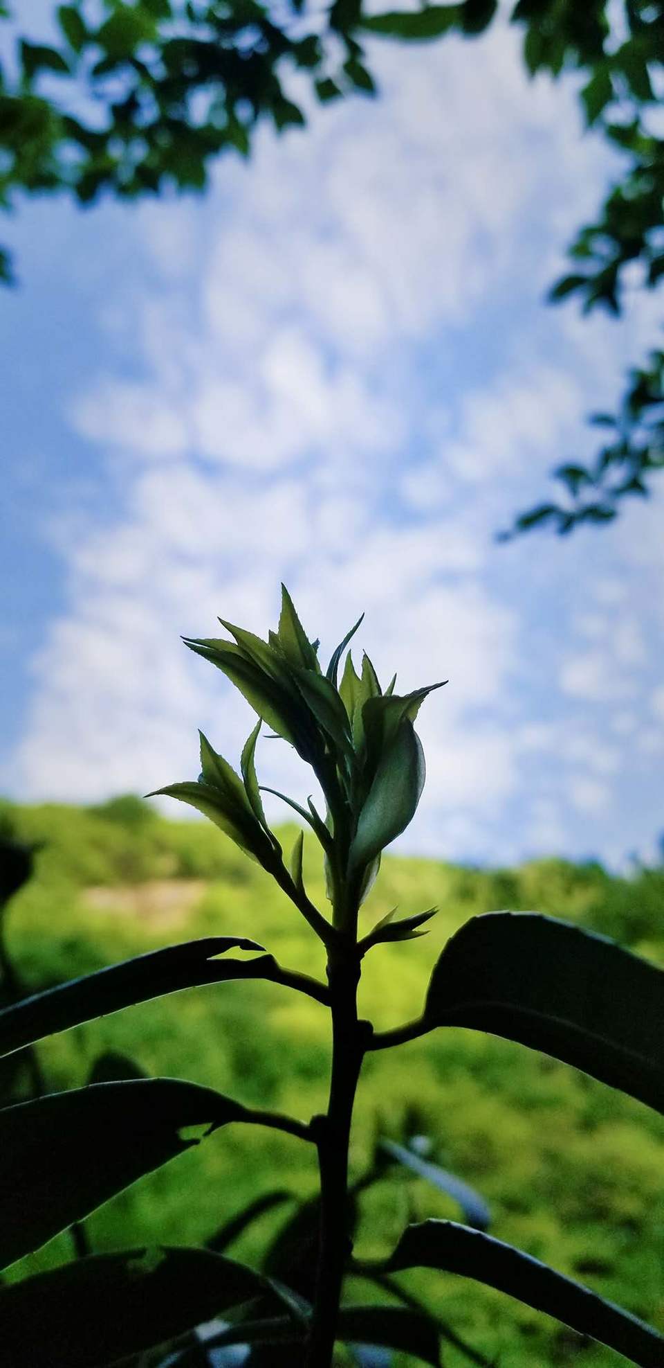 2kI0m8-mW2H86jQk6oGvcUXHNyivQYWRvPQh6zReEFUC0o_DJWVbM_QTqrd46RC5