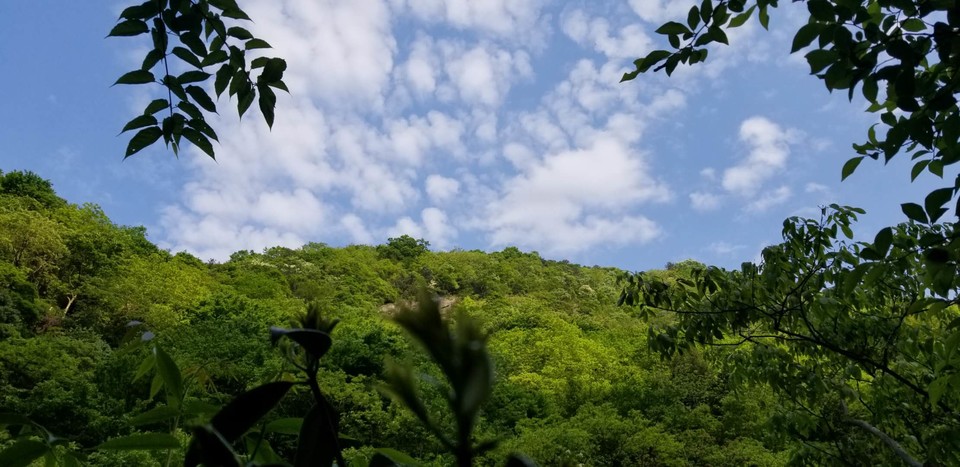 aH-cWj8NwQJCKTdJRR3GgKc0KyemMWJ61i7__bIcnTrzg7xfxl7cz1_Gzkic6O29