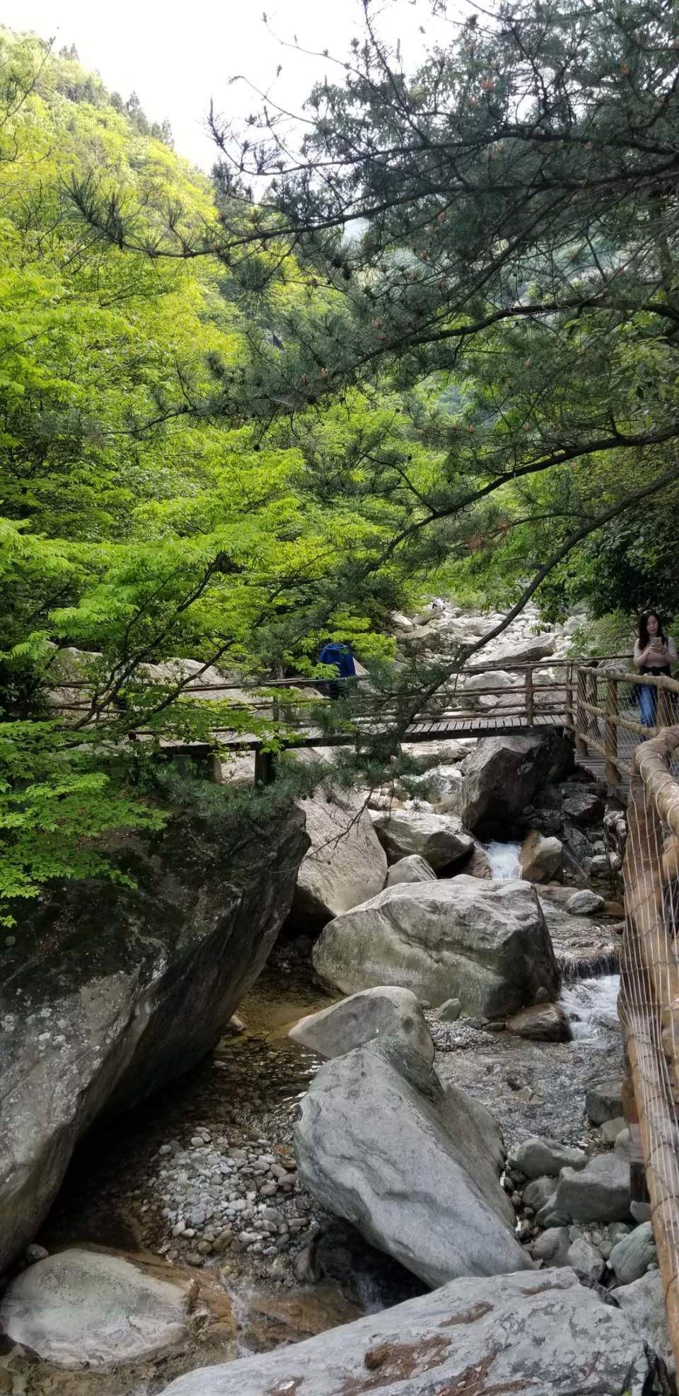 DAAsLFfSc2o4MDRcDT7O6wZvzwVelxzxGcb0HeEbVukvJRw-3mII_iZQChGVv1F6