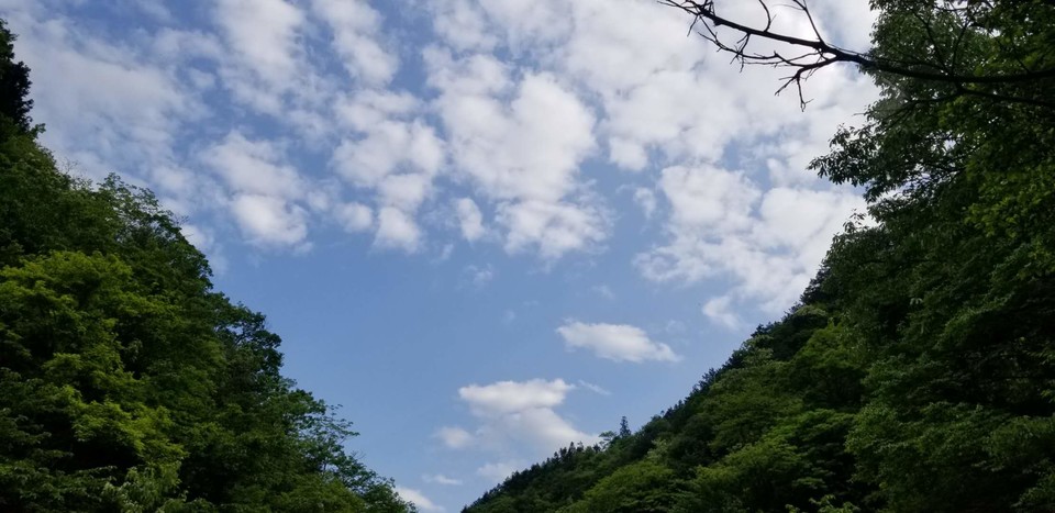 qd0Rmq_RPI-A7g_69Eb8aGW9Mmz3LSfAZrELM1cGk-Nc7o3kbnsyep_Edx05pX6P