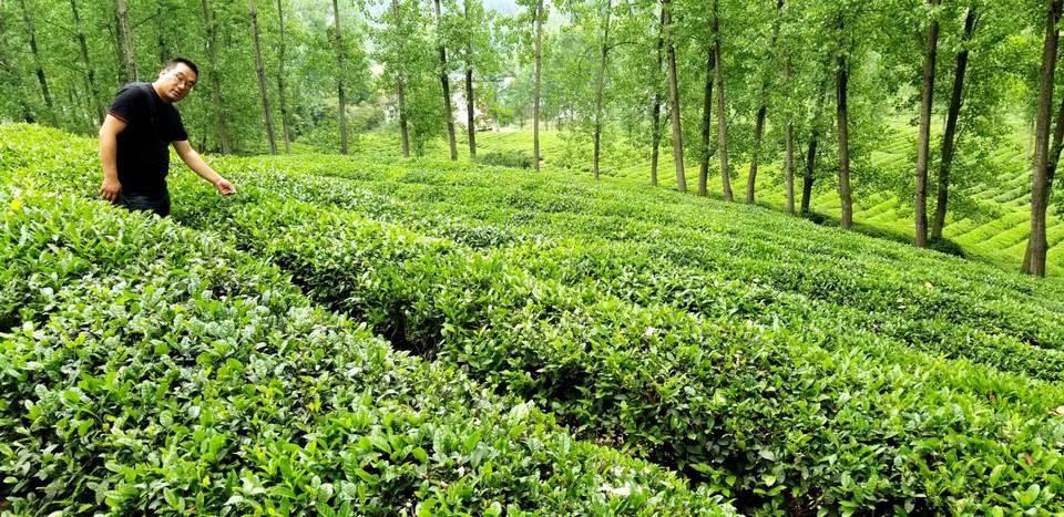 BaeTcTIDPa4bwVK-SHfpAj9HRKQZyQtGiw5fM_6sA3ceC0XAH4G-tINQzptkZplI