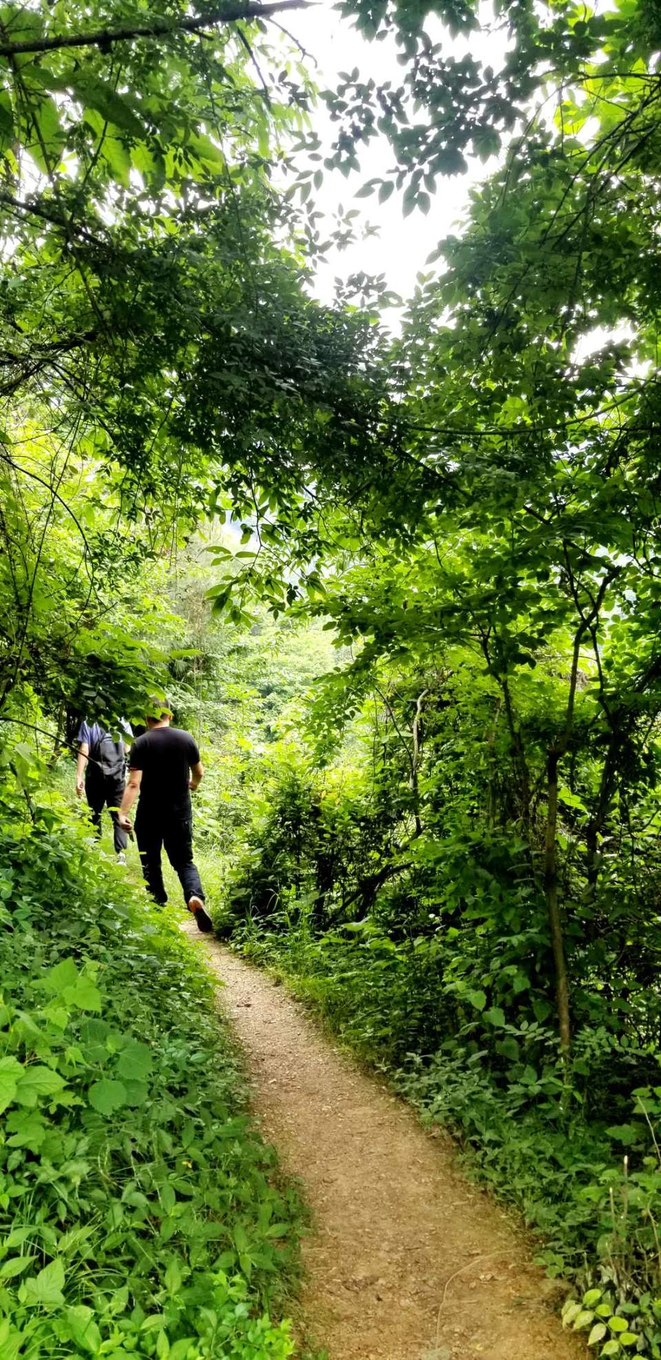 YMcAtGacRP2LyuT26VZlF2-xVyH3Z8IQsVy0C-VWM_ppvgSKIbHG7SYziI8QmFch