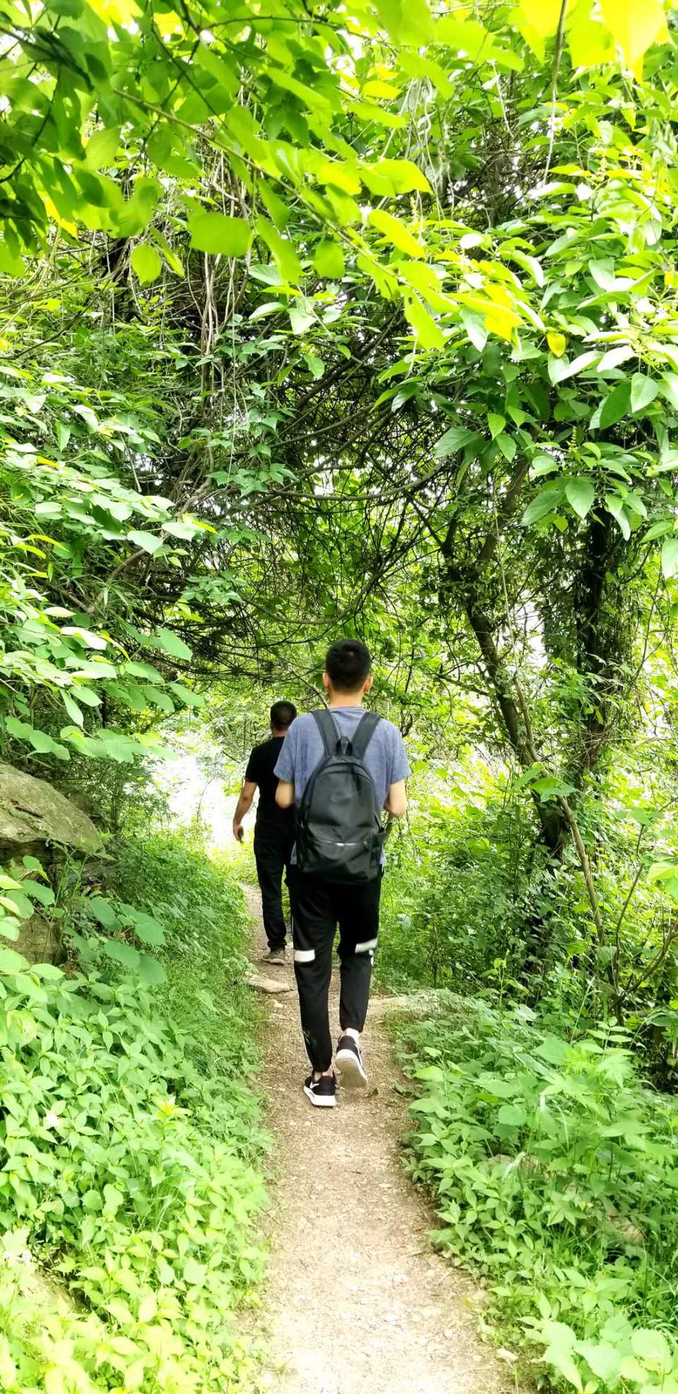 WSkSw4RU787kZH_2xTYXW-PpscZwk0HEV9qTVcj3wNqKzMtZm96xxbFGunl5hsXR