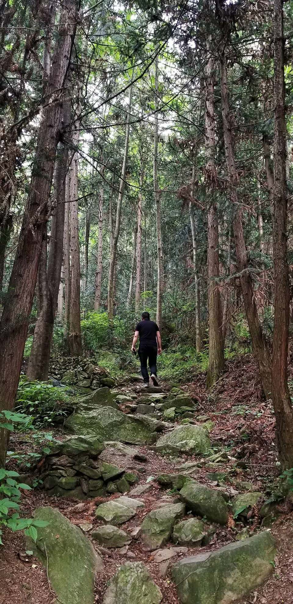 x3gmkjiFHRF0LcQo_DGpAQDSW2S9kx9guedRnJfyb9PoEmrELF5qeU6RakEFRNup