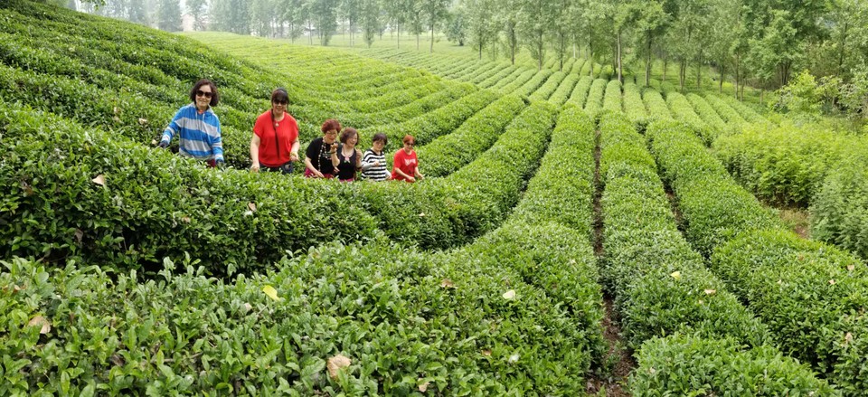 W09ggnUdC2OZ09AO6Qh0titZM1kqXZl9apPv4jmVumLqUKyVuAEnGKTFnrjD71BJ