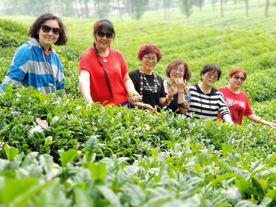 6CUeQnHB8KLVSD1l-GNQFME1d-y-b-L4N2g1P4pKIIkGHFb4Ehfb0dOduFyKO2Jw