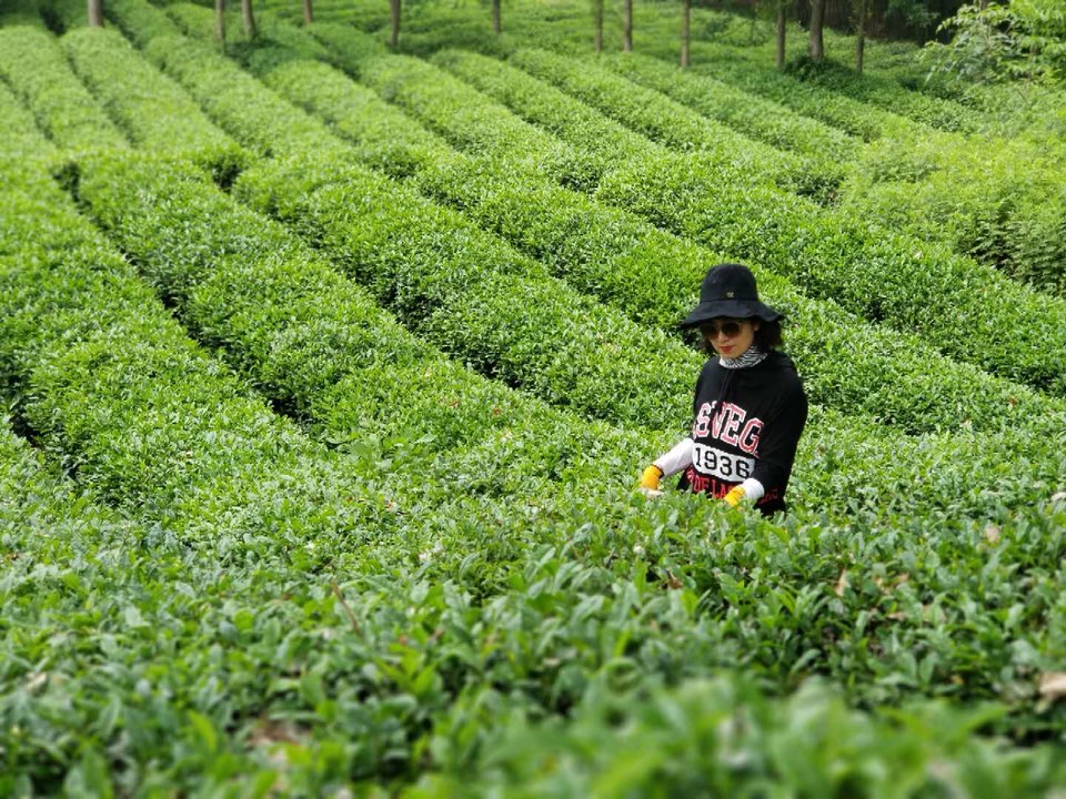 8Go-1Gonc5Olxuq-xEuUPq28SQ5ENx1_CjKKo0x1kUqpYWNztqVxKZgB2JAEynP4