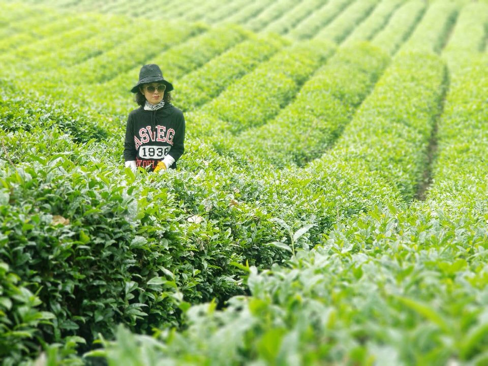 mpRKMeN5lVGpkJYZhI5yBr6D7d6VBXlhXaDeOEJbaUx2doXpkfjwjWw74dqE15oO