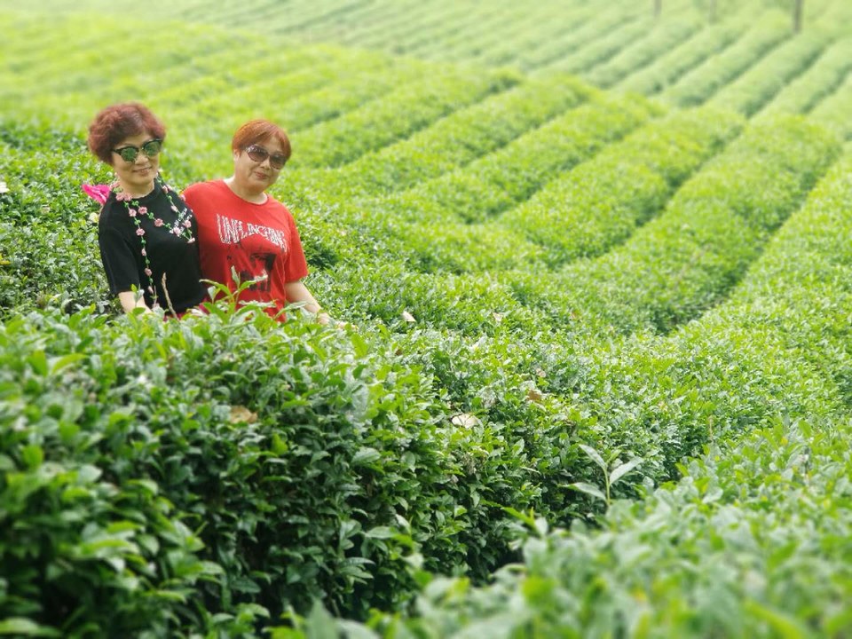 1I7AM_nWk-cWe8mjCTFRz1if4AwYRV0HRbm7s2Ka1t4ZJulvxFxZWpu07yAZQQld