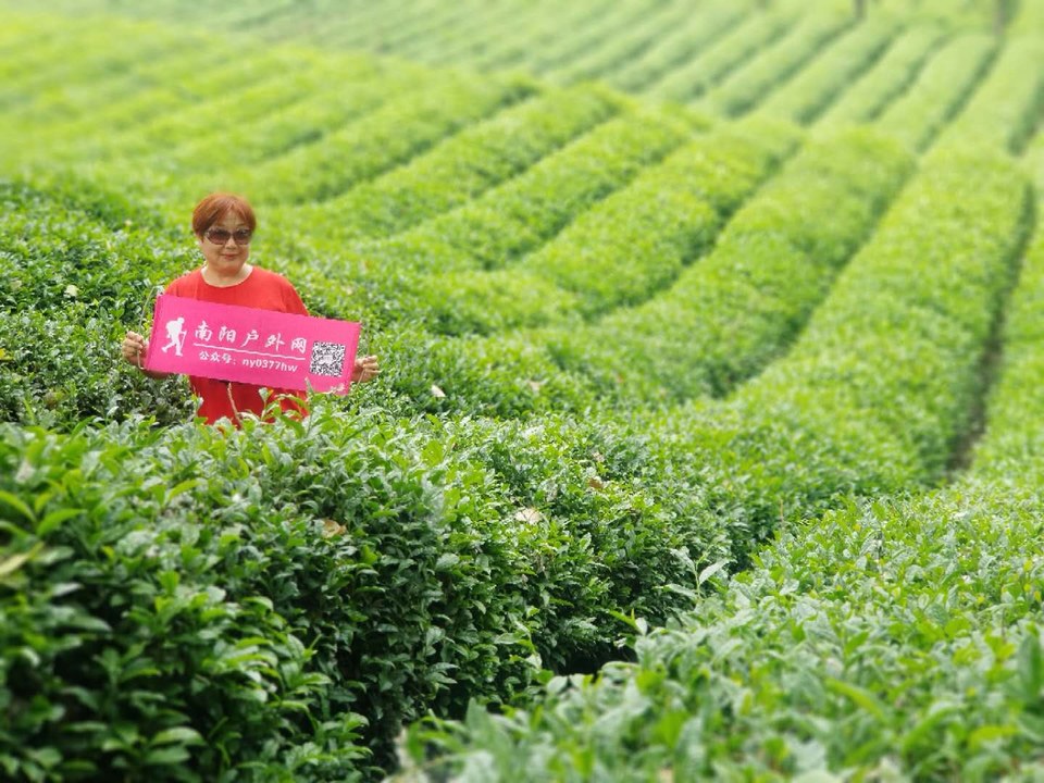 sGs9tXVh54j-uW5noiUZuc1vcM9Hc0ujxC5w05EDI1baxQN4p4r3ijPwlUl8XMtV