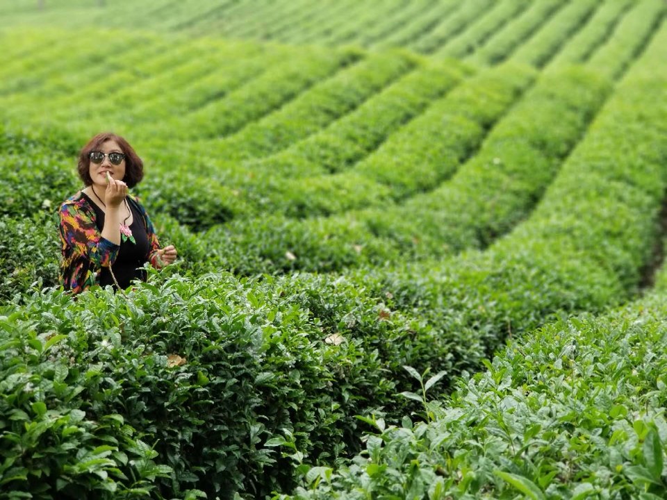 by8qWEb-qwZvmuH00ep5PdAcfTc_HlIriw5ArHETPcMs2KHHRyPw7UbIcDFQ3aVi