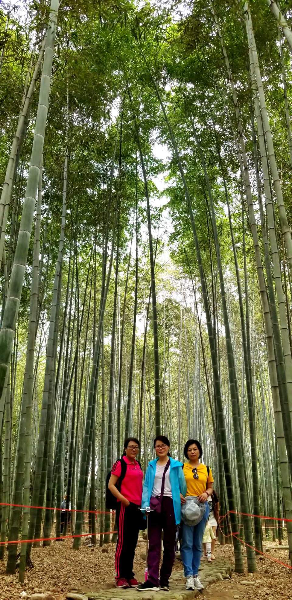 FlurAJt73W8Terp8-ducA4LjFPCsalBuah2iN5bryQ1l1yj7ouiDnLn_DkfDTDwt