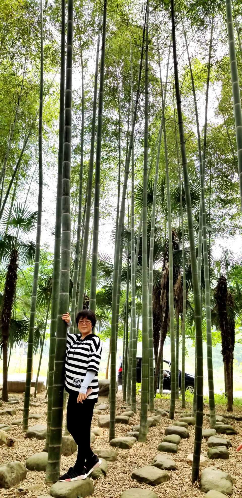 E1lkq_GFmkdt1TUDaFLGyzyh8_7QvGVpDqHDLiTALNs1osUayj9443X7ekFN1saF