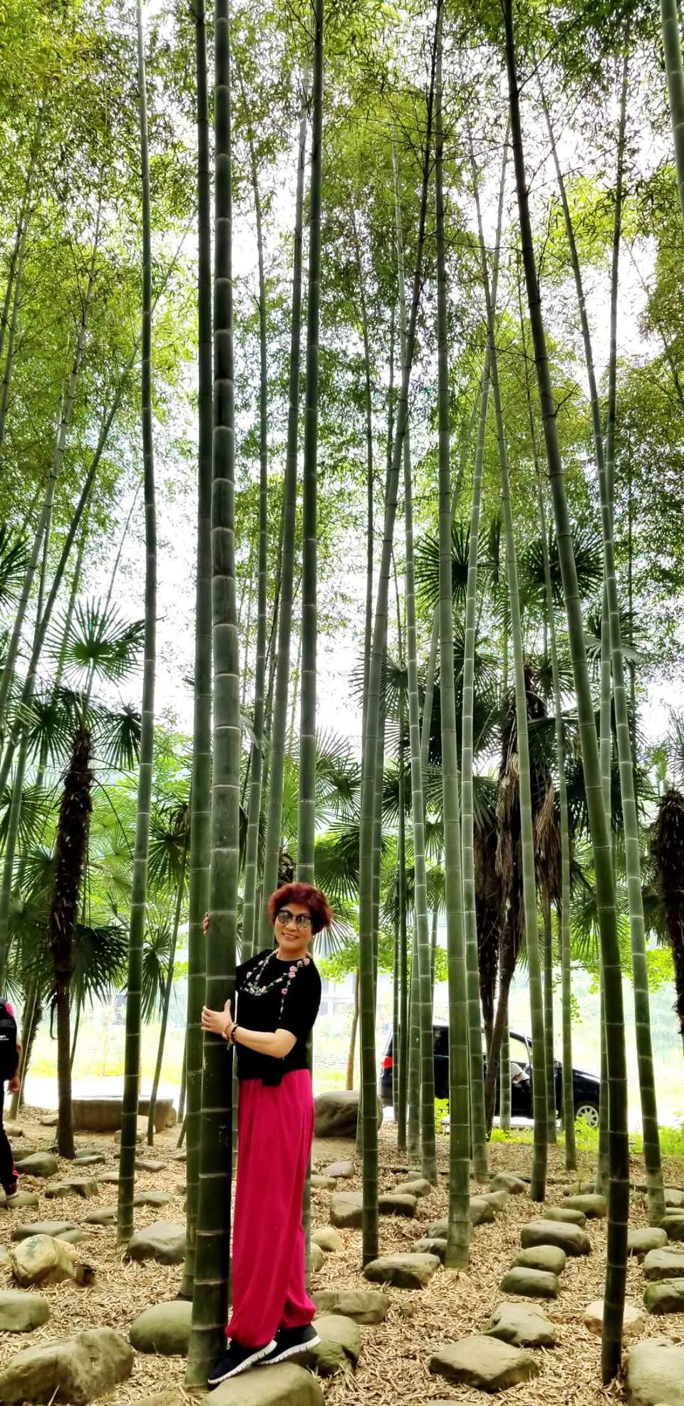 C-RD2Fim8Mi6jvbc6D53bwyWutpADxinPNrGQLJRc4wT2mUfwGOdmxGXIRhoevio