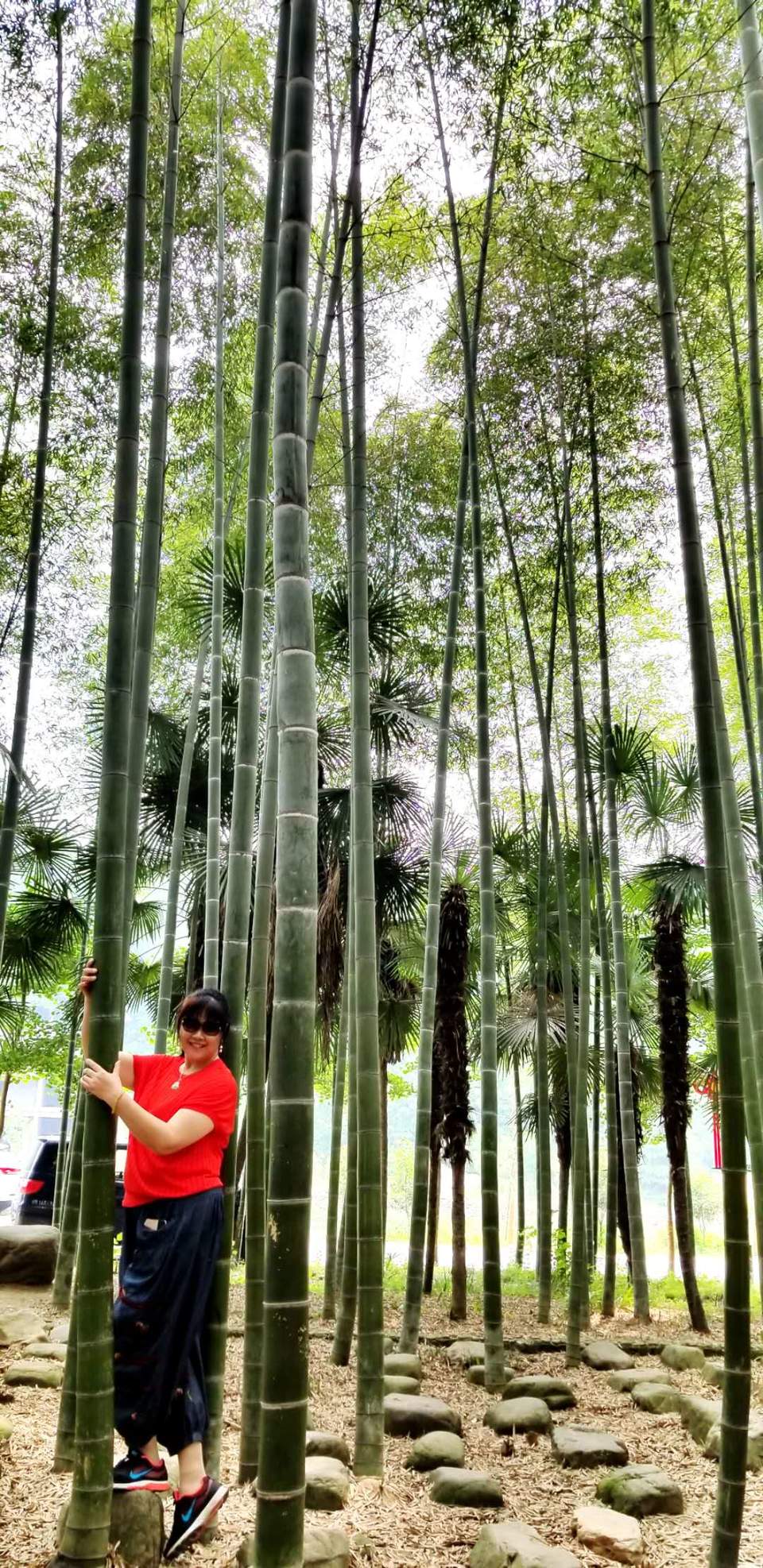 -nIUmyonsm6wPLN84XZ41RUSZePK9XkI-13OhwwqyY7fgiOt-U62B6R8vRx052wW