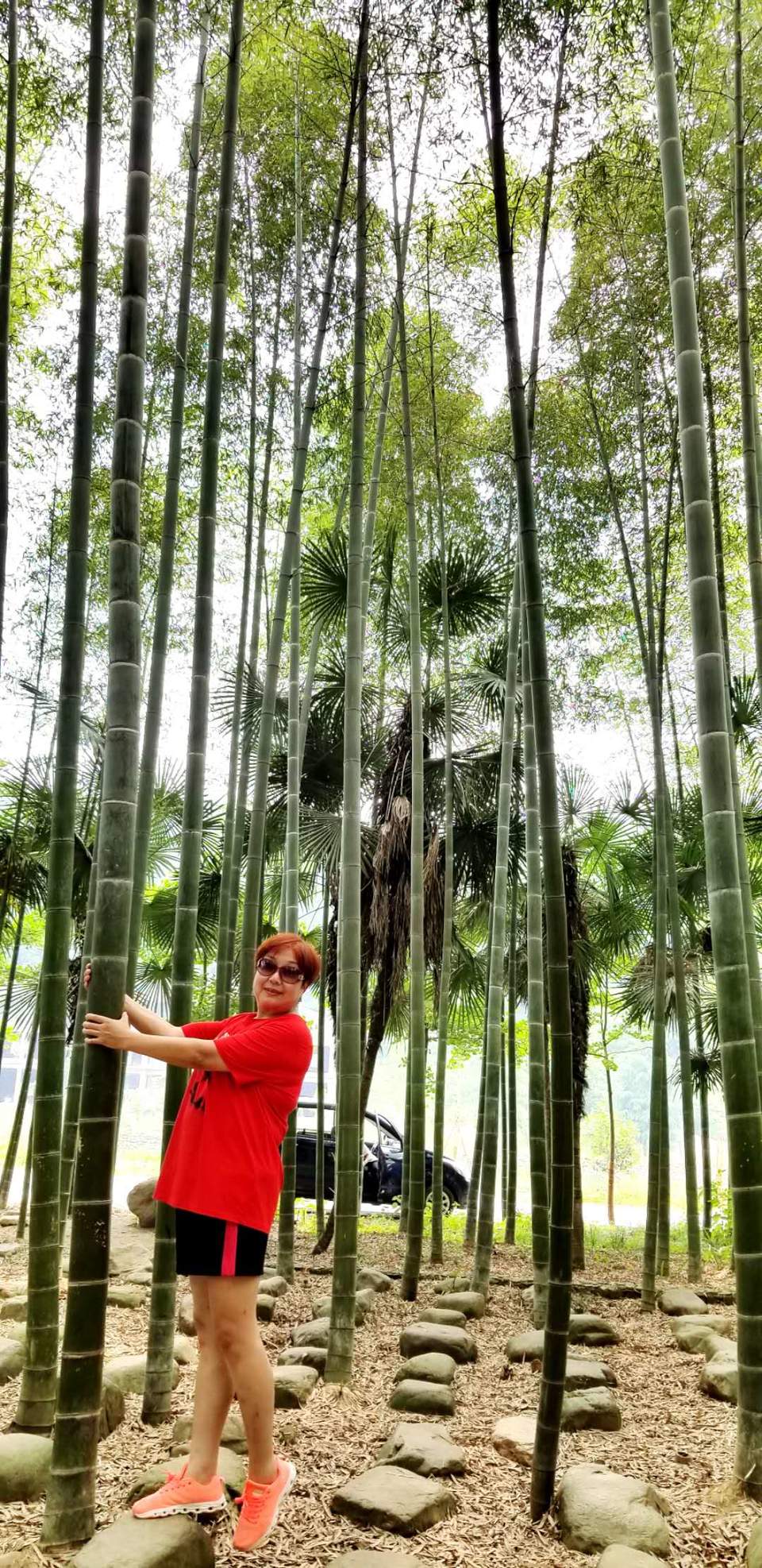 NRd9lYQVRKgM5vYQeWd1I-KXcDVCBXUHKpXkyulVn0HOtpcM-lSP0cc8r6fVcPie