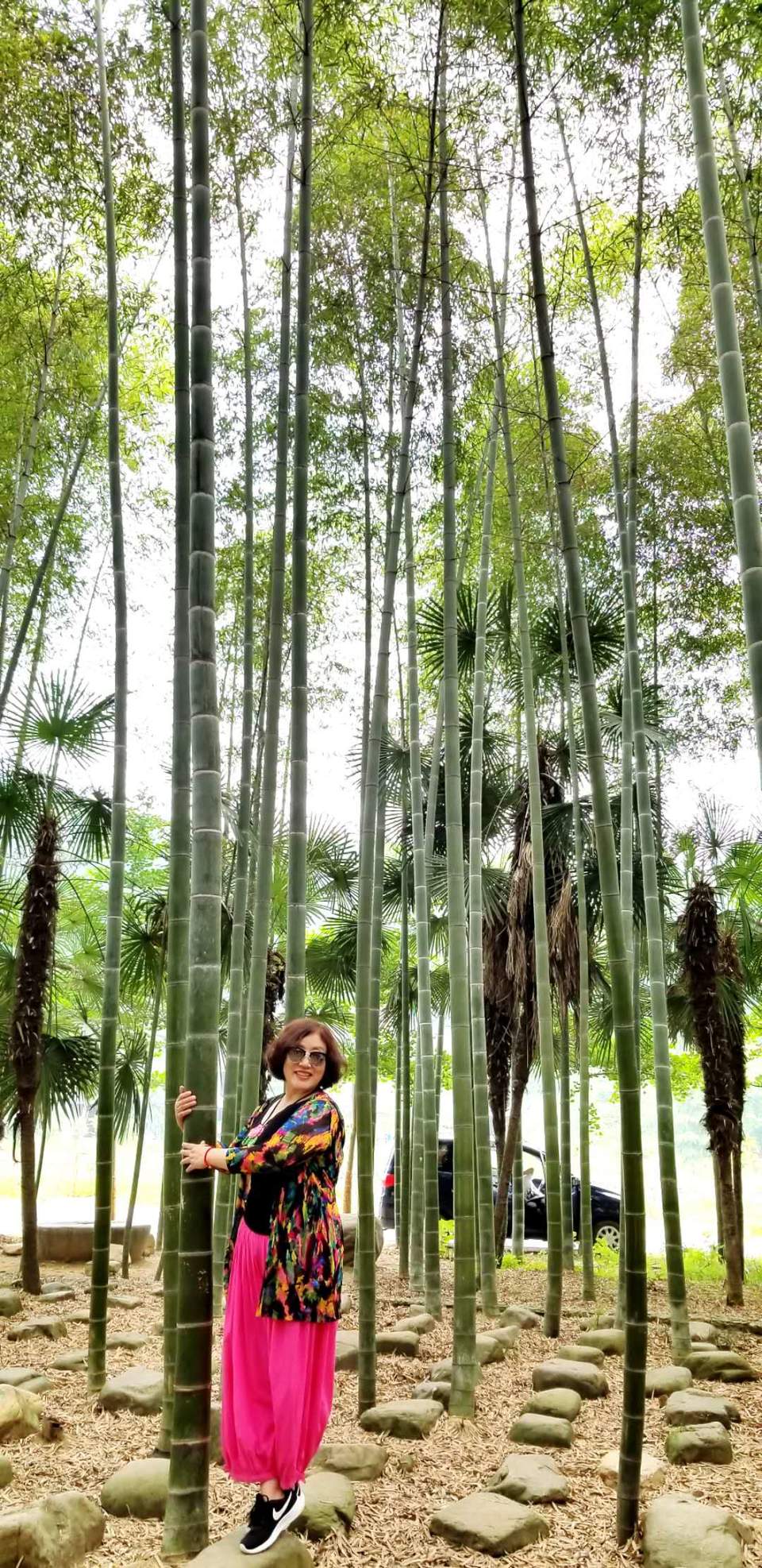 QTk01Bnl2YoTXoDByDKp3FrfJQSnv9XoqPA1Dl93xkTJH9UHtFiDhWKKmfYKDB-2