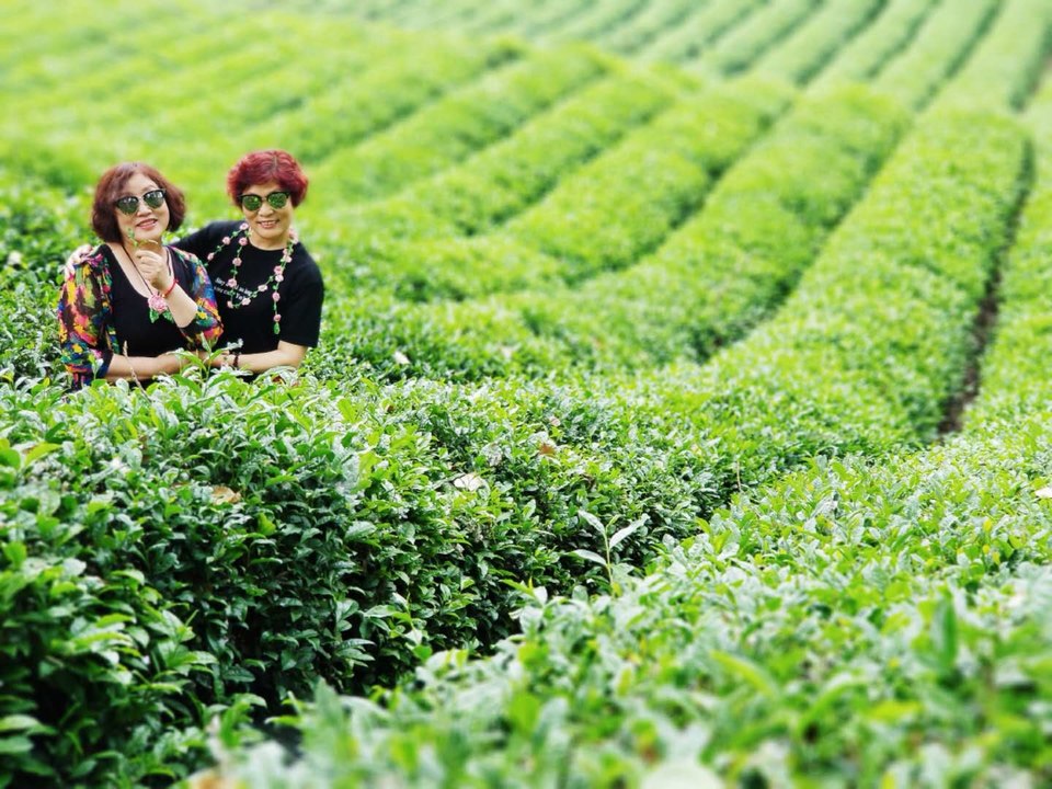 zgJfTC3QQGzmfahlCVZd6iCqY44fcddNlYLAOcV7Mfxw0X3nT9sDB1blsTHYry4A