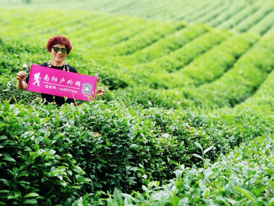 1I7AM_nWk-cWe8mjCTFRz3-AAMnASeQ3ol3eq9LhE7qbUybX4OX9Y_0M0yy_lrRz