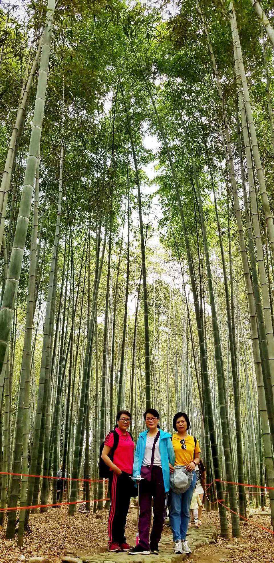 gHMOXq8pG6TuxWiMvdec-P6Lq5WO5OCexLWMfJT5bwX_Z5CzYYZ403S6y0Z3UD7b