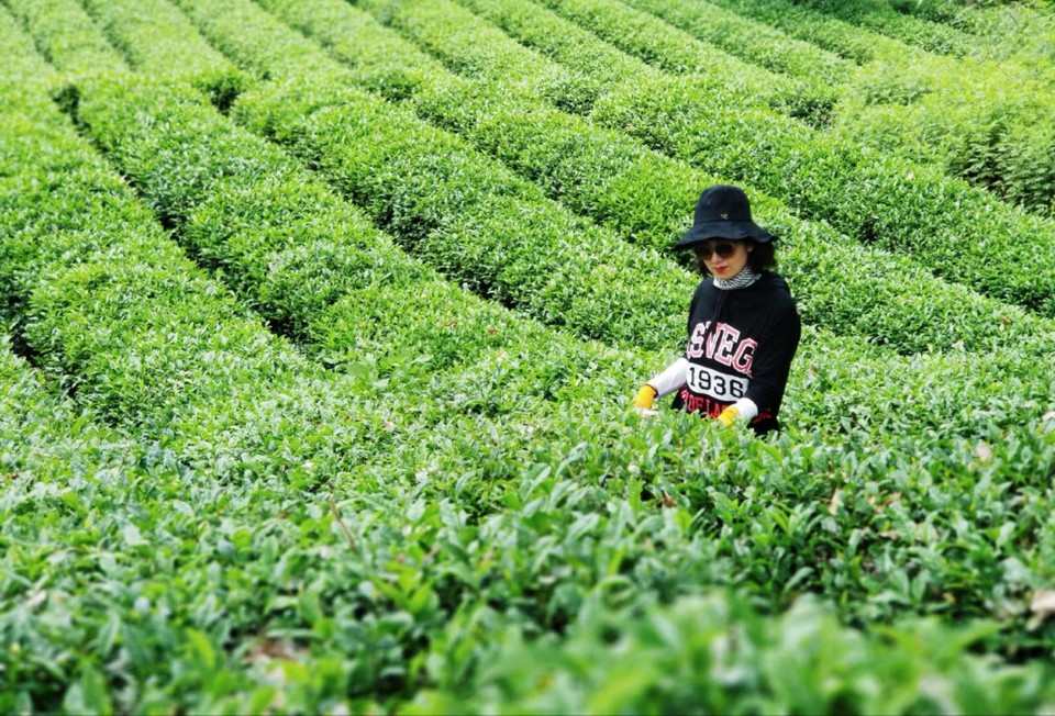 G7DEOuCYgUbDD-hV0rv5zZgAA4ku0pKGP0hyllbW3cHhQSGy4ATwbsg2PukYEKwM