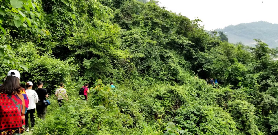 b11AvI9ZeO4tnRfDtmo3L60xwGccCuuPZ1ThCv1wF9FHf2Rfr4rYYUnWcnTK2Ei_